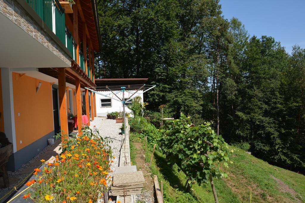 Gaestehaus Schmid Apartment Sankt Johann im Saggautal Екстериор снимка