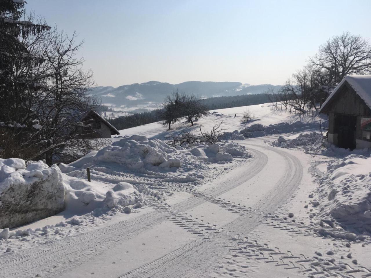 Gaestehaus Schmid Apartment Sankt Johann im Saggautal Екстериор снимка