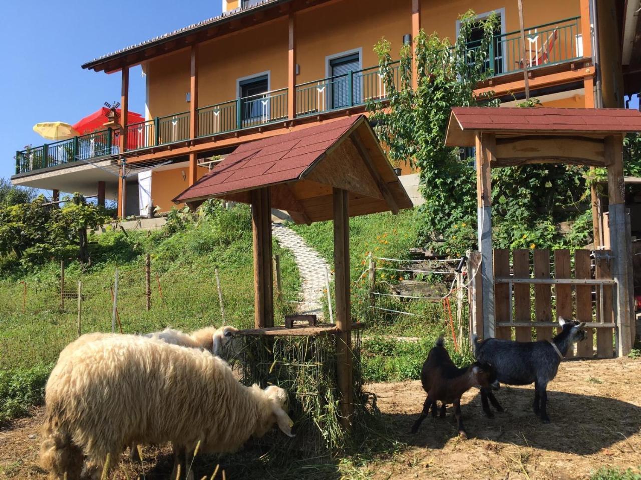 Gaestehaus Schmid Sankt Johann im Saggautal Екстериор снимка